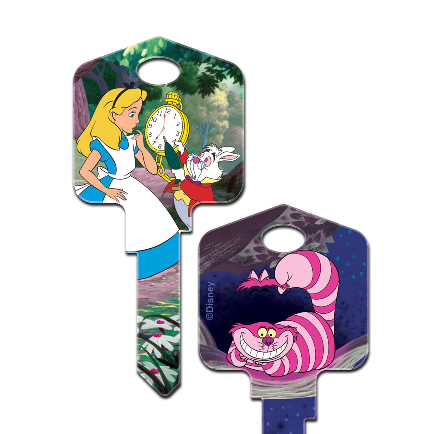 Disney's Alice in Wonderland and Cheshire Cat house key blank